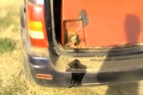 Cu gipanele la furat ţiţei din conducta Conpet - vezi video